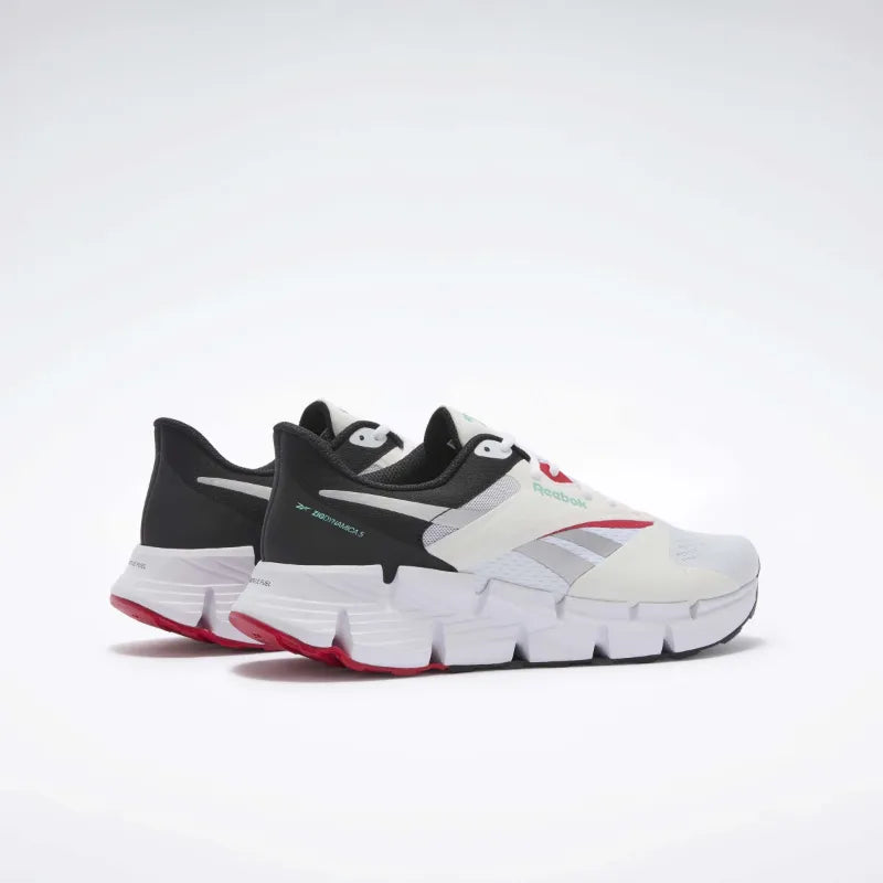 Zig Dynamica 5 Laufschuhe