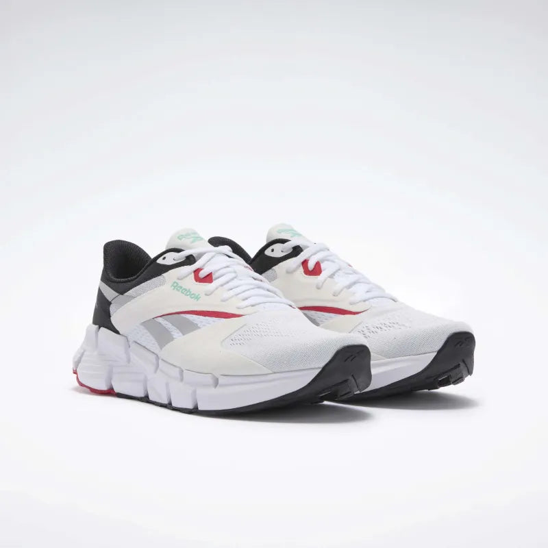 Zig Dynamica 5 Laufschuhe