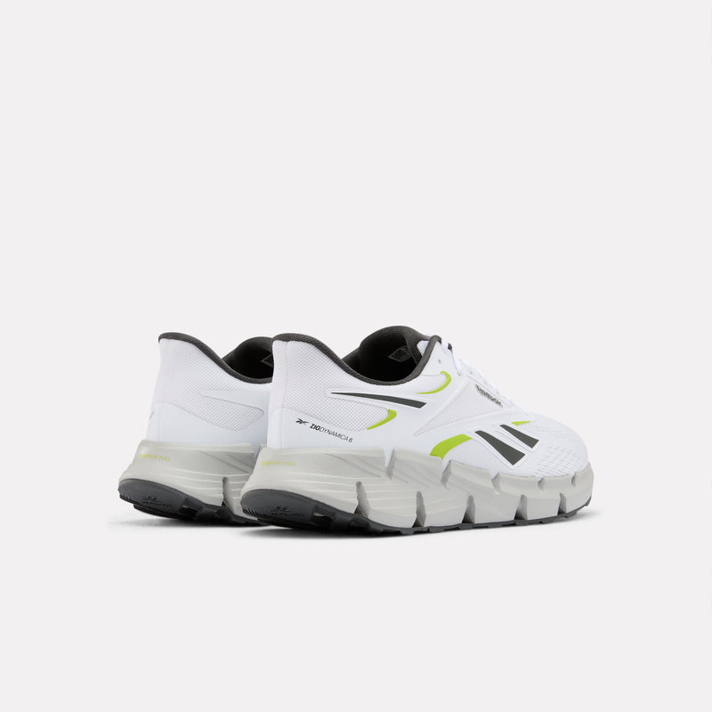 Zig Dynamica 6 Men's Shoes