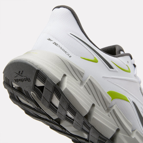 Zig Dynamica 6 Men's Shoes