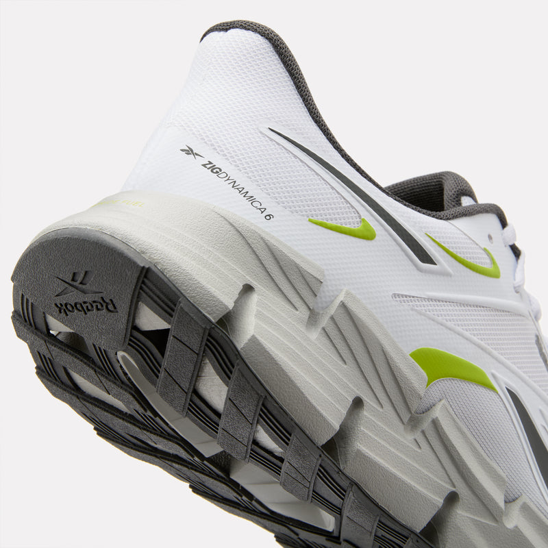 Zig Dynamica 6 Men's Shoes