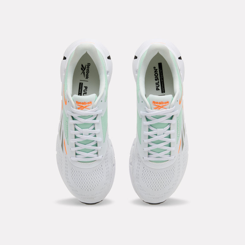 Zig Dynamica 6 Men's Shoes