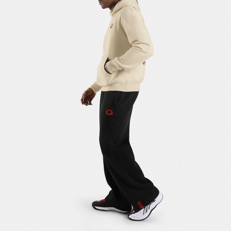 Allen Iverson Relaxed Brushed Fleece Graphic Men's Hoodie