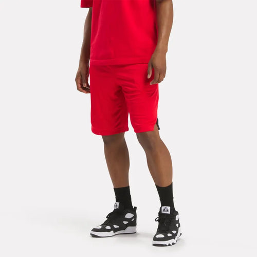 Above The Rim Hoopwear shorts